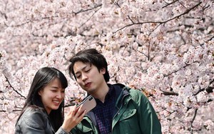 Giới trẻ Nhật Bản: Không hôn nhân, không tình dục và 'khủng hoảng còn trinh'