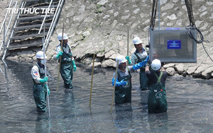 Sông Tô Lịch có thể hồi sinh bởi công nghệ Nhật khi 150.000m3 nước thải đổ vào hàng ngày?
