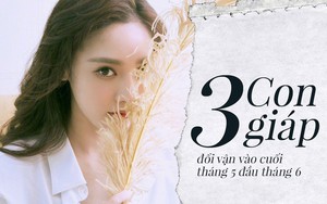 Cuối tháng 5 đầu tháng 6, 3 con giáp này có duyên với thần tài, ra đường gặp nhiều may mắn, về nhà gia đình vạn sự ấm êm