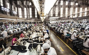 Bloomberg: Việt Nam sẽ vượt qua Ý, Pháp, Anh và Ấn Độ trong top nhà xuất khẩu hàng đầu sang Hoa Kỳ