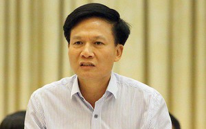 Phó Tổng Thanh tra Chính phủ: Đã xong dự thảo kết luận thanh tra bán đảo Sơn Trà, sẽ sớm công bố