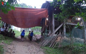 Người đàn ông bị rơi tử vong khi leo cây lấy mật ong rừng