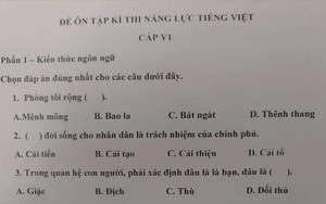 Xuất hiện đề thi Tiếng Việt dành cho người Nhật siêu khó và rất dễ nhầm lẫn khiến dân mạng nhiều người bó tay