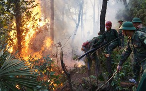Người phụ nữ bị chết cháy trong quá trình dập lửa cứu rừng
