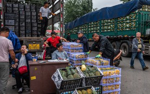 Chiến tranh thương mại, suy thoái kinh tế, giá cả leo thang: Thủ tướng TQ sốc vì biết giá táo ở chợ