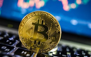 Bitcoin lao dốc không phanh