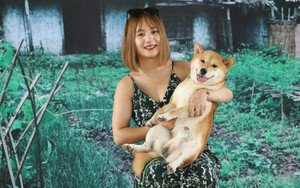 Bị phản đối kịch liệt, yêu cầu đổi vai của chó Nhật trong 'Cậu Vàng', đạo diễn vẫn kiên quyết không làm