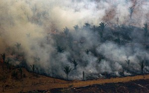 Brazil sử dụng máy bay chiến đấu để chữa cháy rừng Amazon