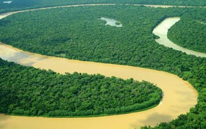 Rừng Amazon tạo ra được bao nhiêu oxy cho thế giới? Hóa ra không nhiều như bạn nghĩ