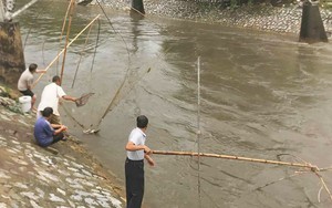 Hà Nội: Người dân mang vó ra sông Kim Ngưu bắt cả tạ cá sau mưa lớn