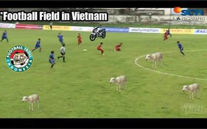 Chỉ trích Việt Nam tổ chức giải ở "sân chăn bò", CĐV Indonesia nhận về đáp trả phũ phàng