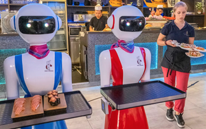 Người ta thà thất nghiệp vì robot còn hơn mất việc vào tay người khác