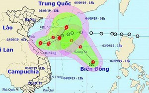 Video: 3 cơn bão sẽ tấn công đất liền vào cuối năm 2019