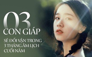 Trong 3 tháng âm lịch cuối năm, 3 con giáp này có vận may dồi dào không ngừng, ra đường là gặp phúc khí, tiền tài thăng hoa rực rỡ