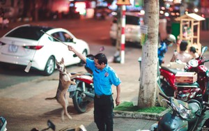 Bác bảo vệ và hành động đùa giỡn cùng chú chó bên vỉa hè, câu chuyện đằng sau cảm động hơn