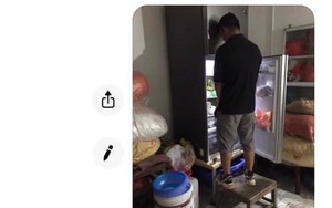 Trách vợ để con tè vào tủ lạnh, chồng giật mình khi nhìn thấy bức hình chụp thủ phạm