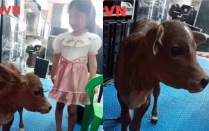 Con gái bảo có chó Tây vào nhà, mẹ vứt cả nồi cơm rồi chạy ra, khi thấy chỉ biết bật cười