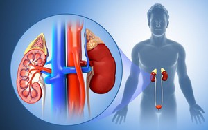 Tiến sĩ Nam khoa cảnh báo: 3 thói quen uống nước "phá hỏng" thận, rất nhiều người mắc