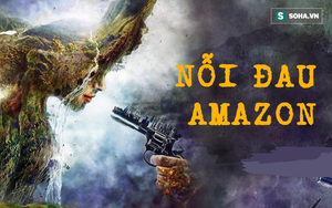 Đừng giết Amazon: Từ lá thư của thủ lĩnh da đỏ đến nguy cơ Amazon tự tử đều rất xúc động