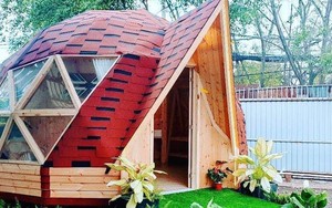 Thấy gì từ mô hình trồng dưa lưới tại Farmstay G7?