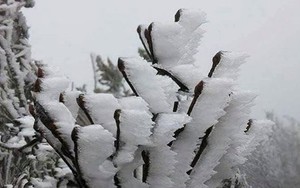 Miền Bắc sẽ chịu thêm 3-5 đợt không khí lạnh trong tháng 1/2019
