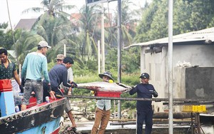 Về làng câu cá ngừ đại dương lớn nhất Ðông Nam Á