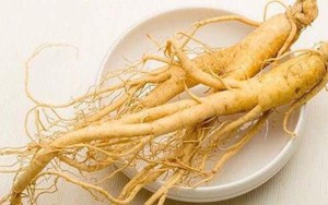 Nhân sâm đại bổ, nhưng cũng hại lớn