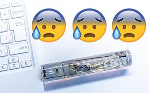 Nhật Bản thứ gì cũng "dị": Lấy nguyên con cá làm USB, dùng não cá để lưu dữ liệu
