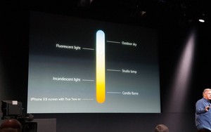 Làm sao để loại bỏ màu vàng của tính năng True Tone trên iPhone Xs?