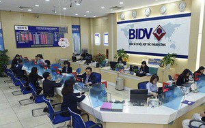 BIDV lãi trước thuế hơn 9.600 tỷ đồng trong năm 2018