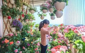 Ban công chỉ rộng vỏn vẹn 7m² nhưng tràn ngập hoa đẹp như cổ tích của bà mẹ 'bỉm sữa' 2 con