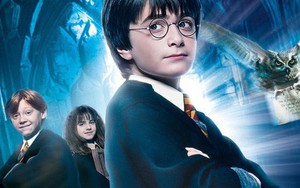 10 sự thật khó hiểu về Harry Potter mà khán giả nhắm mắt làm ngơ
