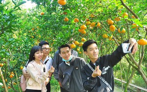 Thị trường hàng Tết: Hoa quả độc lạ lên ngôi