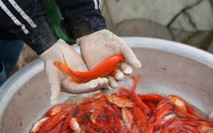 Văn khấn cúng ông Công ông Táo năm 2019 chuẩn nhất