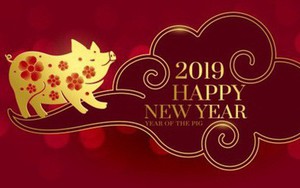 Năm Kỷ Hợi 2019 theo quan niệm của người châu Á