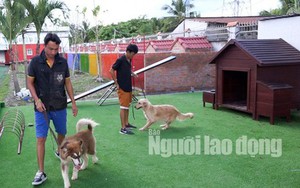 Độc đáo khu phức hợp tiện nghi có massage dành cho chó cưng