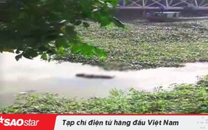 Bàng hoàng phát hiện thi thể nữ giới trôi trên sông không có người thân đến nhận ngày Tết