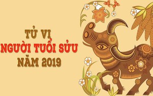 Tử vi tuổi Sửu năm 2019: Gia đạo bất ổn, phòng đau ốm