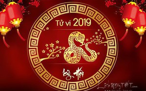 Tử vi tuổi Tỵ năm 2019: Khó khăn, nhưng có thể xoay chuyển tình thế