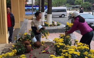 Phản cảm cảnh 'tranh cướp' hoa trang trí ở ga Đồng Đăng