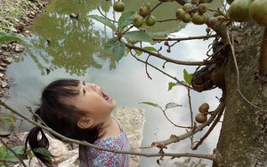 Ngắm bức ảnh cô bé tóc đuôi gà há miệng chờ sung suốt 15 phút vì tin lời chị, đảm bảo mẹ nào cũng tan chảy