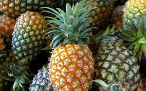 Kinh nghiệm dùng dứa gai chữa bệnh