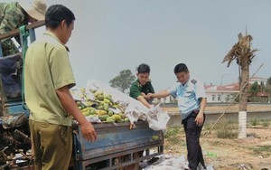 Sửa lỗi “dấu phẩy”, Biên phòng Hoa Lư tiêu huỷ gần 7 tấn xoài nhập lậu