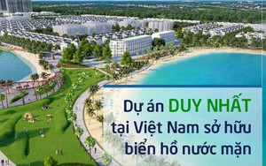 VinCity chuyển đổi thành Vinhomes