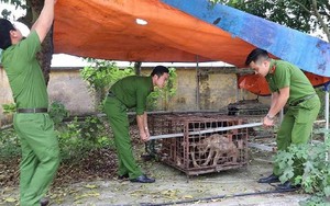 Thông tin mới vụ bé trai 7 tuổi bị đàn chó cắn tử vong