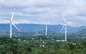 Quảng Trị có thêm nhà máy điện gió trị giá hơn 1.500 tỷ đồng