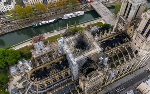 Nước Pháp không còn cây gỗ đủ cao để phục chế mái Nhà thờ Đức Bà