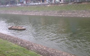 Nước sông Tô Lịch bất ngờ trong, xanh trở lại