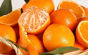 Rau củ rẻ bèo bán đầy ở Việt Nam, giải độc gan tốt không ngờ
