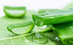 8 mẹo vặt giúp bạn khắc phục các vấn đề trong nắng nóng mùa hè